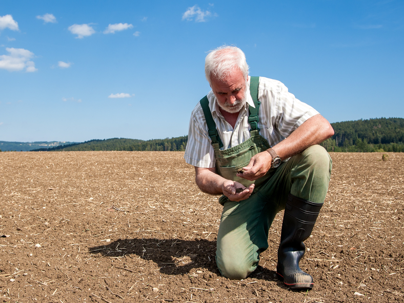 farmer in drought field
